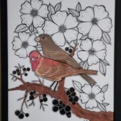 House Finches
