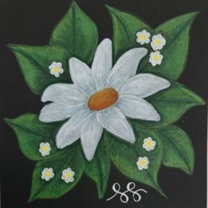 White Daisy