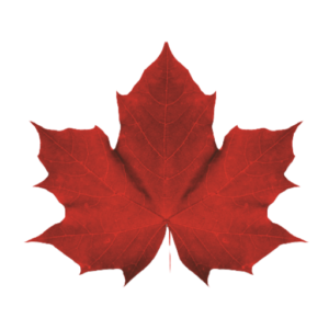 http://sharongraham.ca/wp-content/uploads/2023/10/cropped-Sharon-Graham-Leaf-Transparent.png